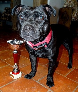 Strictly Staffies Naomi campbull