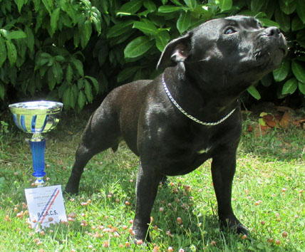 Alabama dell'adda sud